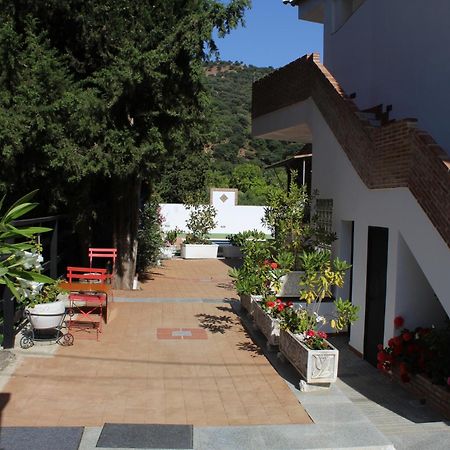 Apartamento Guadiaro 3 Ainhoa Benaoján Esterno foto